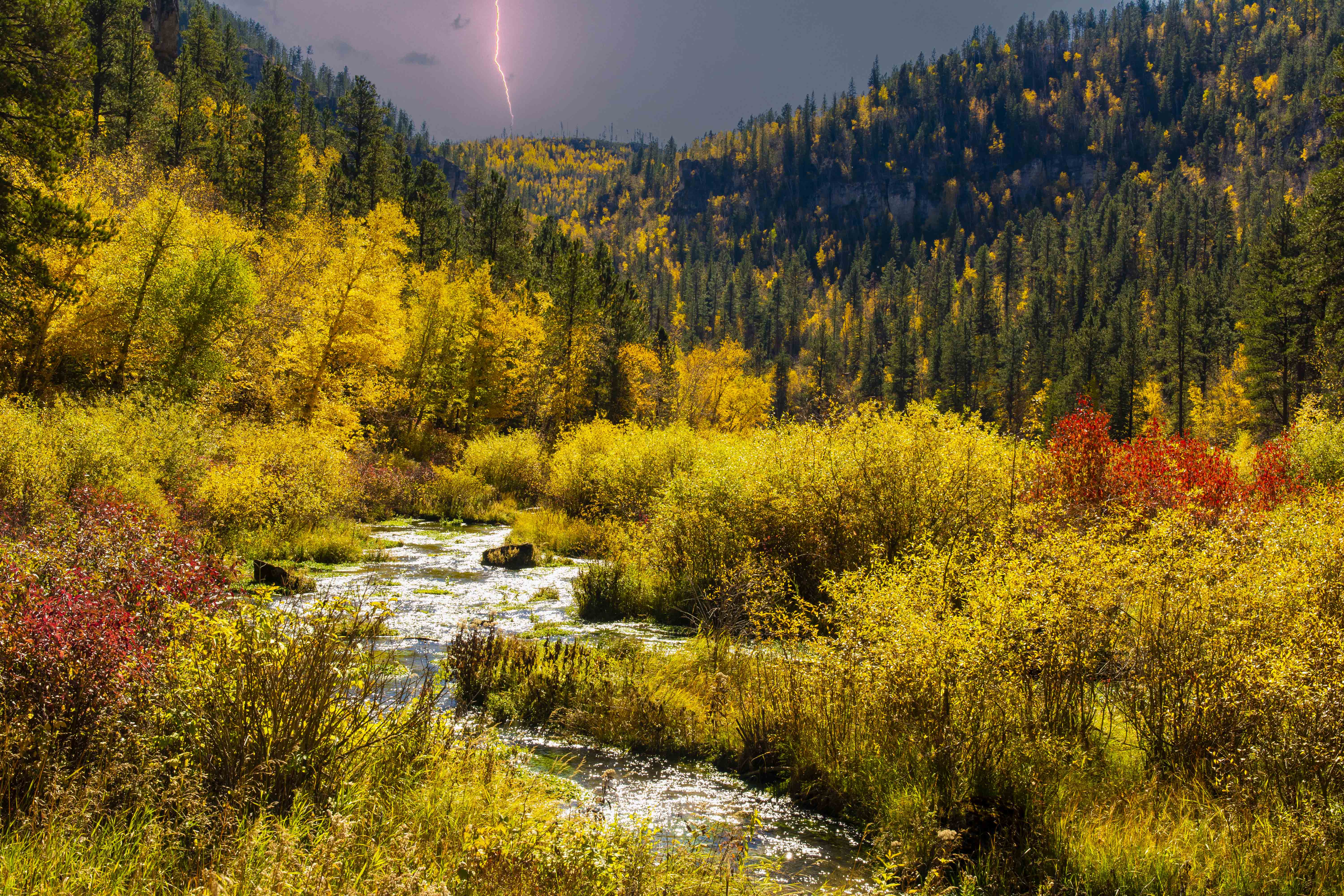 Little Spearfish Creek